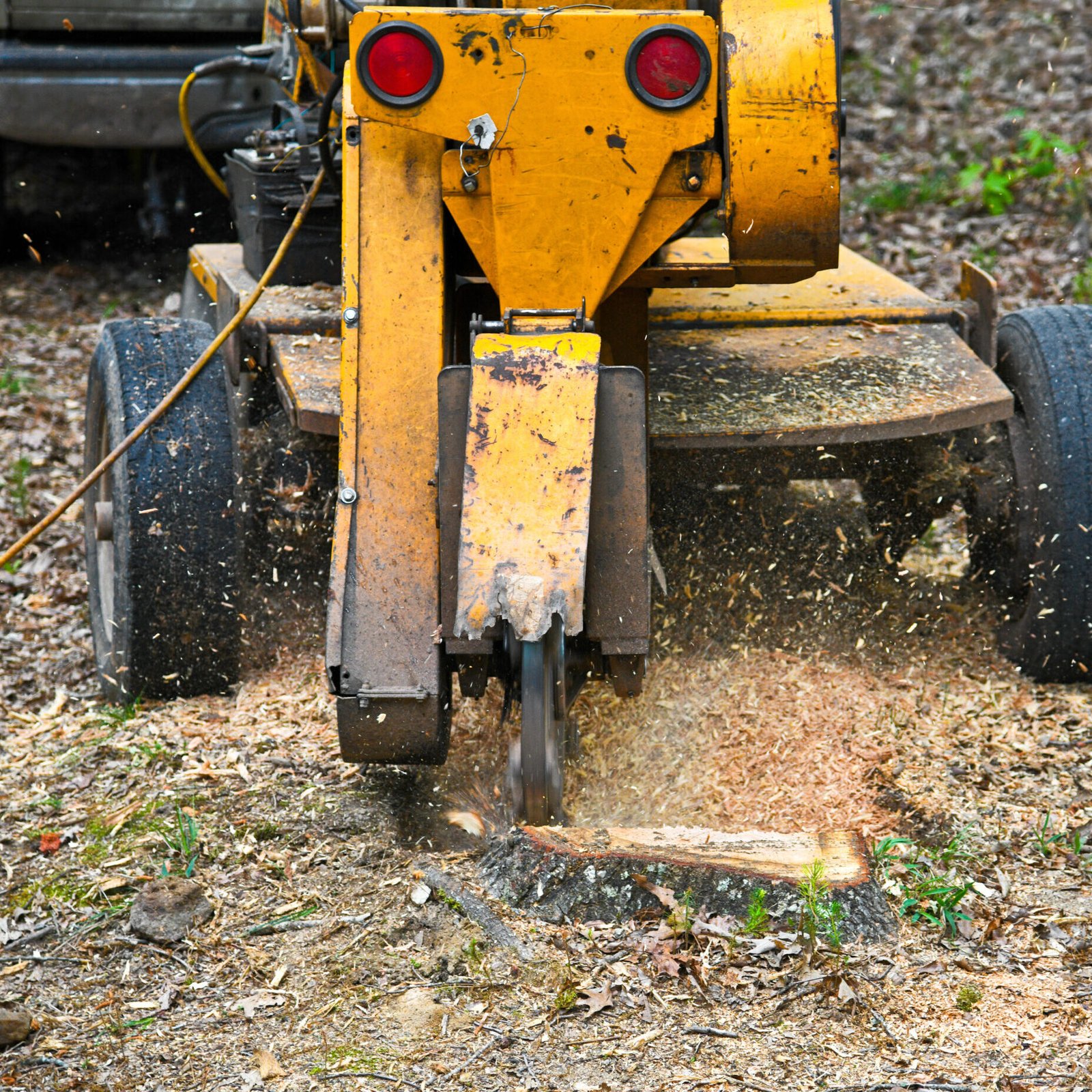 A Stump Grinding  Machine Removing a Stump from Cut Down Tree